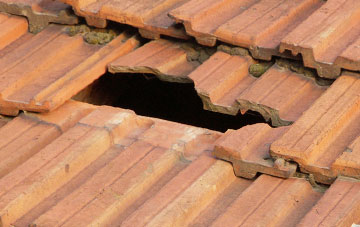 roof repair Badger, Shropshire